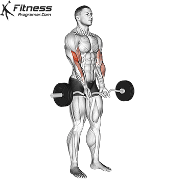 Close Grip Z-Bar Curl