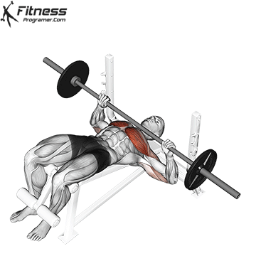 Decline Barbell Bench Press