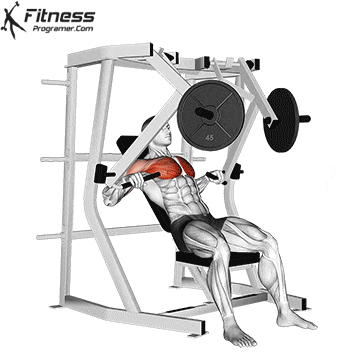 Decline Chest Press Machine