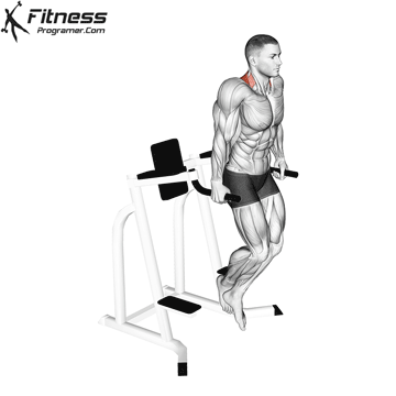 Dip Shrugs (Serratus Shrugs)