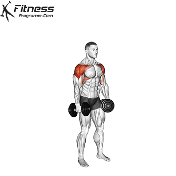 Dumbbell 6 Way Raise