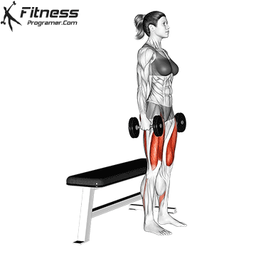 Dumbbell Bench Squat