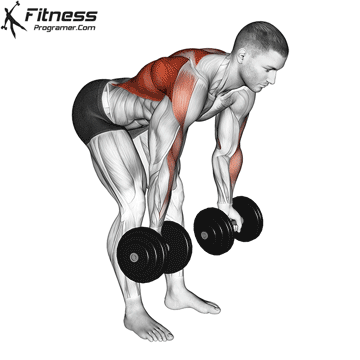Dumbbell Bent Over Reverse Grip Row