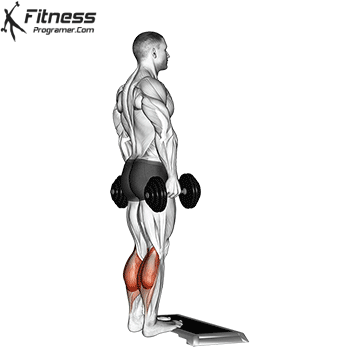 Standing Calf Raise With Dumbbell