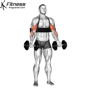 Dumbbell Curl On Arm Blaster