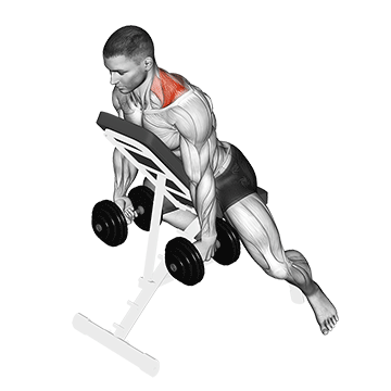 Prone Incline Shrug