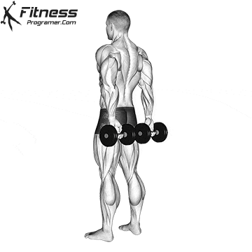 Dumbbell Finger Curl