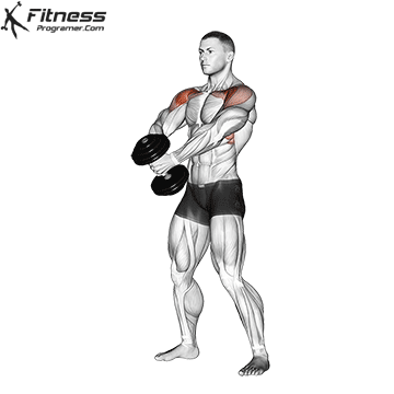 Dumbbell Front Raise