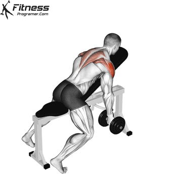 Dumbbell Incline T-Raise