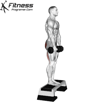 Dumbbell Jefferson Curl