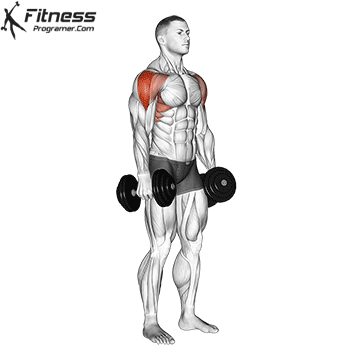 Dumbbell Lateral Raise