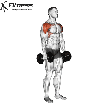 Dumbbell Lateral to Front Raise