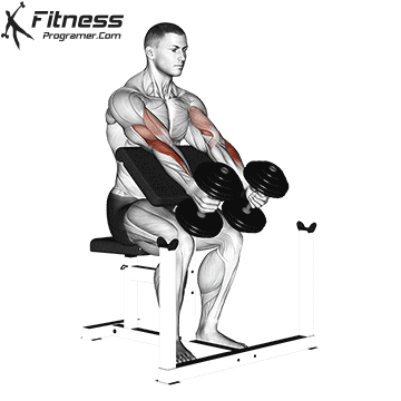 Dumbbell Preacher Hammer (Scott) Curl