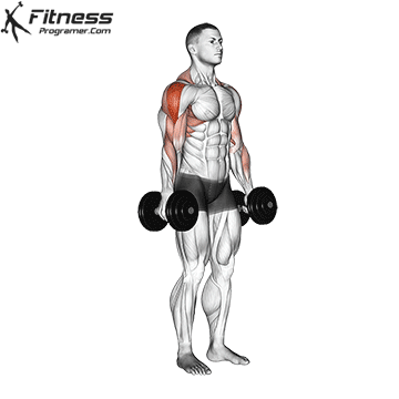 Dumbbell Raise