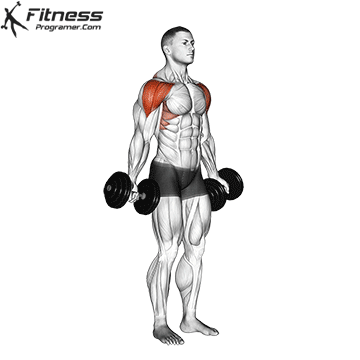 Dumbbell Scaption