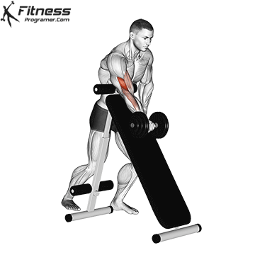 Dumbbell Scott Curl