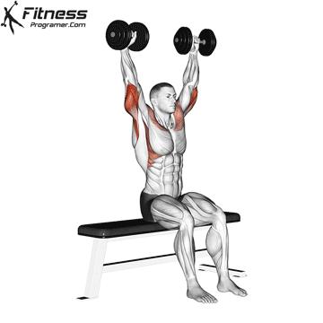 Dumbbell Seated Front and Back Tate Press