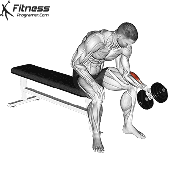 Dumbbell Seated Neutral Wrist Curl