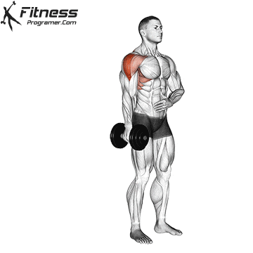 Dumbbell Single Arm Lateral Raise