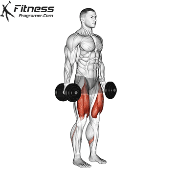 Dumbbell Squat