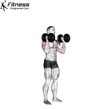 Dumbbell Standing Palms In Press