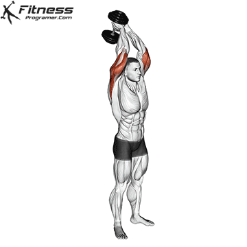 Dumbbell Triceps Extension