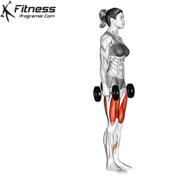 Dumbbell Reverse Lunge
