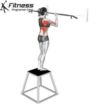 Eccentric Pull-Up