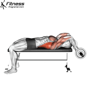 EZ-Bar Bent Arm Pullover