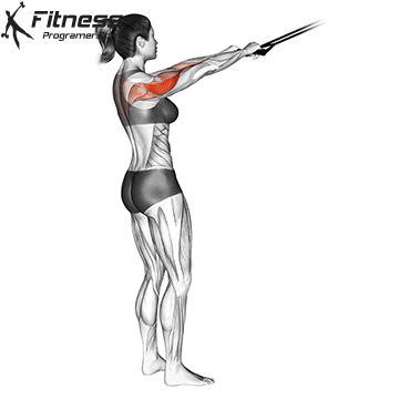Face Pull With Resistance Band