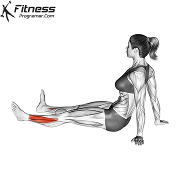Foot and Ankle Rotation