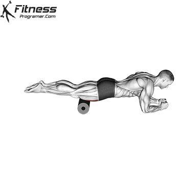 Foam Roller Quads