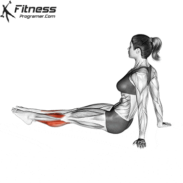 Foot and Ankles Stretches