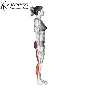 Forward Bend