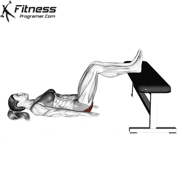 Glute Bridge on Bench