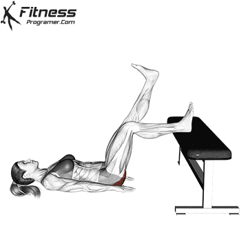 Glute Bridge One Leg on Bench