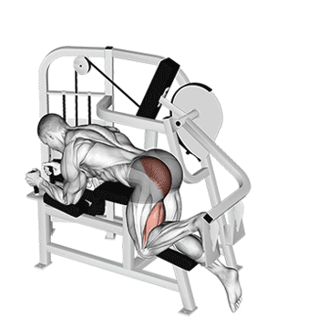 Glute Kickback Machine