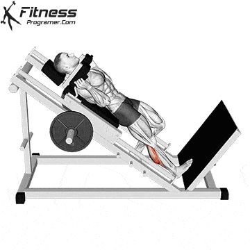 Hack Machine One-Leg Calf Raise