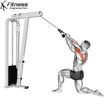 Half Kneeling High Cable Row Rope