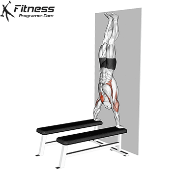 Handstand Push-ups Between Benches