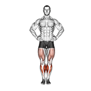 Knee Circles