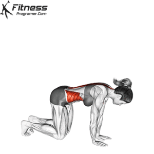 Kneeling-Back-Rotation-Stretch