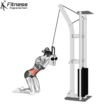 Kneeling Cable Crunch