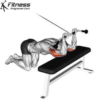 Kneeling Cable Triceps Extension