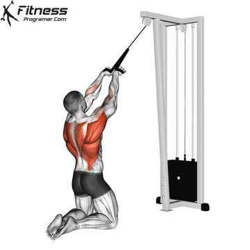 Kneeling High Pulley Row