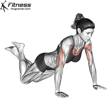 Kneeling Push-up
