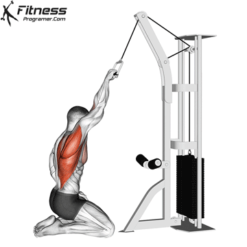 Kneeling Single Arm High Pulley Row