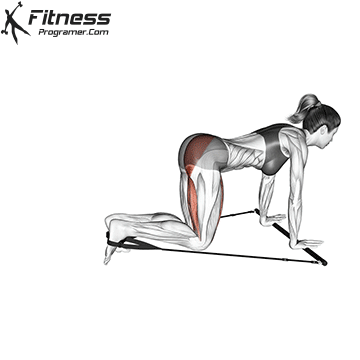 Kneeling Single Leg Kick | Gymstick