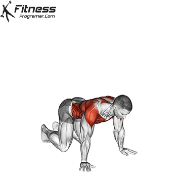 Kneeling T-spine Rotation