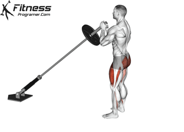 Landmine Lunge